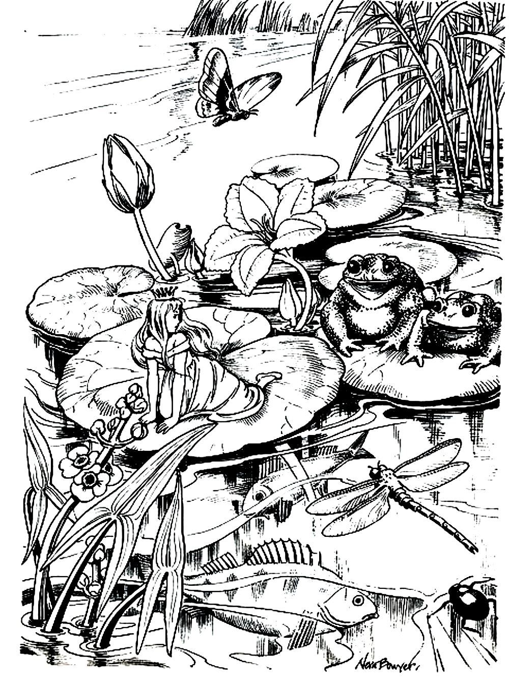 detailed landscape coloring pages for adults part 2